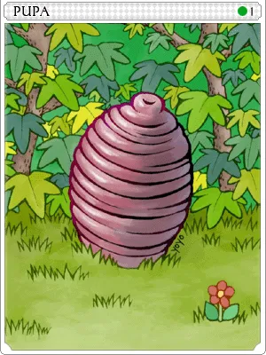 Ilustração da Carta Pupa